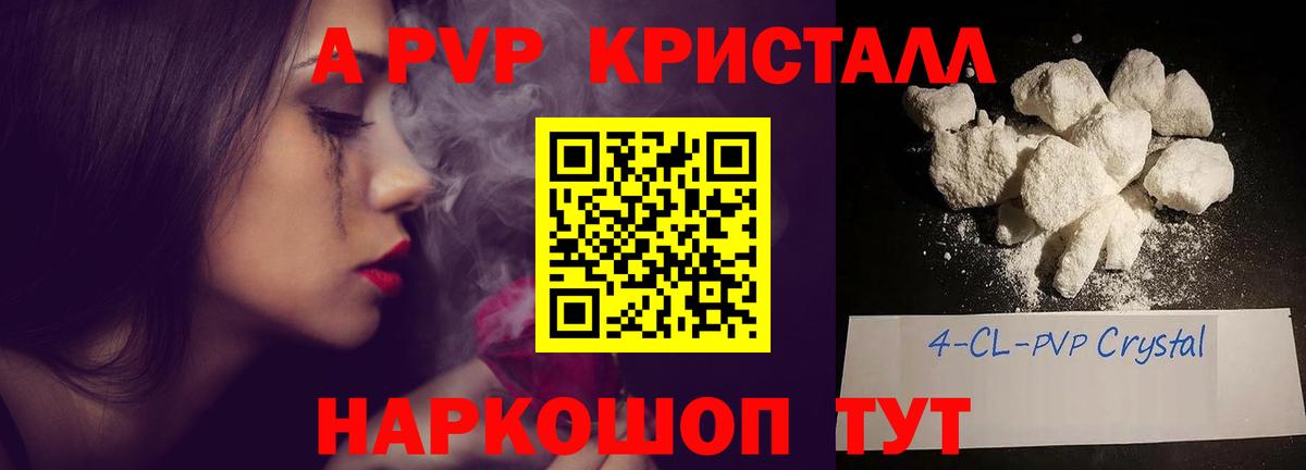 Alfa_PVP СК Новотроицк