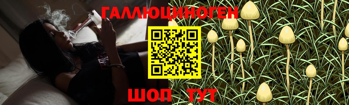 Галлюциногенные грибы мухоморы Новотроицк